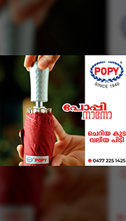 വലിയ പിടിയുള്ള ആളാ....